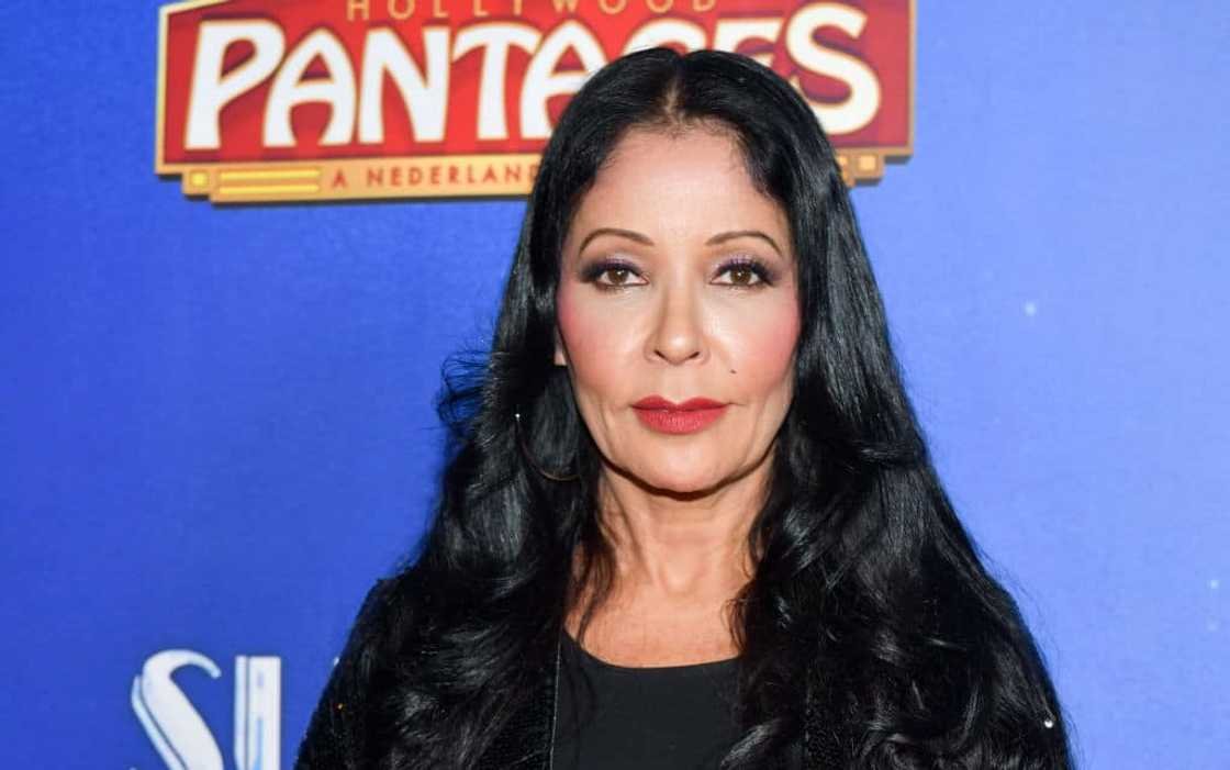 apollonia kotero net worth